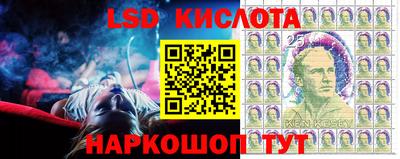 спиды Кимры
